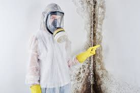  Aurora, CO Mold Removal Pros